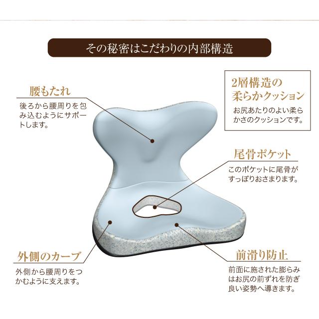 馬具マットプレミアムEX 姿勢 腰痛 肩甲骨 骨盤矯正 美バランス 猫背