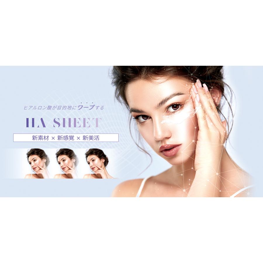 正規販売店 HAテレポシートHSC 2シート×10パック HA TEREPO SHEET HSC