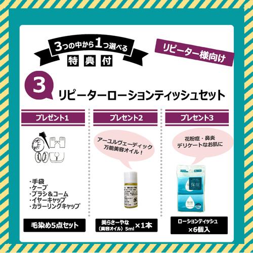 正規販売店 ☆選べる特典付き IPMヘナケアー基本の4点セット 各