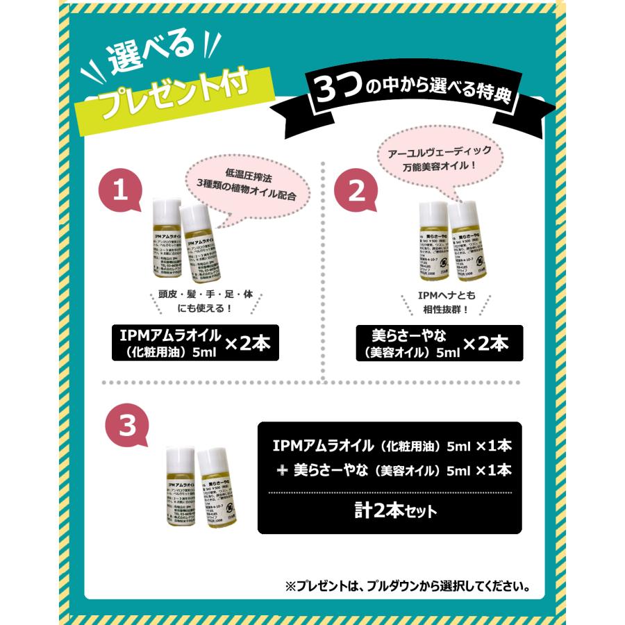 ★選べる特典付き　IPM リーフヘナ 100g 5袋セット ヘナ オーガニック認証 白髪染め オーガニックハーブ 正規品 |  | 01