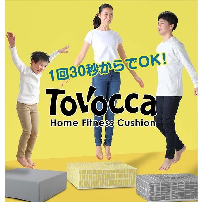 ◎美品◎ 正規品　TOVOCCA トボッカ　トランポリンソファ　グレー 正規販売店 トボッカ TOVOCCA グレー クッション型トランポリン 日本製