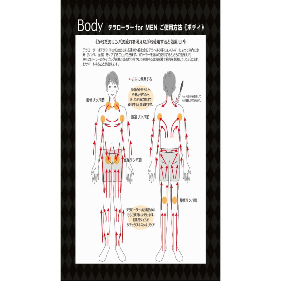 テラヘルツ人工鉱石製　テラ・ローラー テラヘルツ人工鉱石製 テラ・ローラー テラヘルツ人工鉱石製