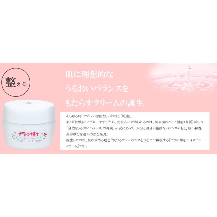 テラの輝き モイスチャークリーム詰替パウチ400g 1袋 油分も水分もお肌