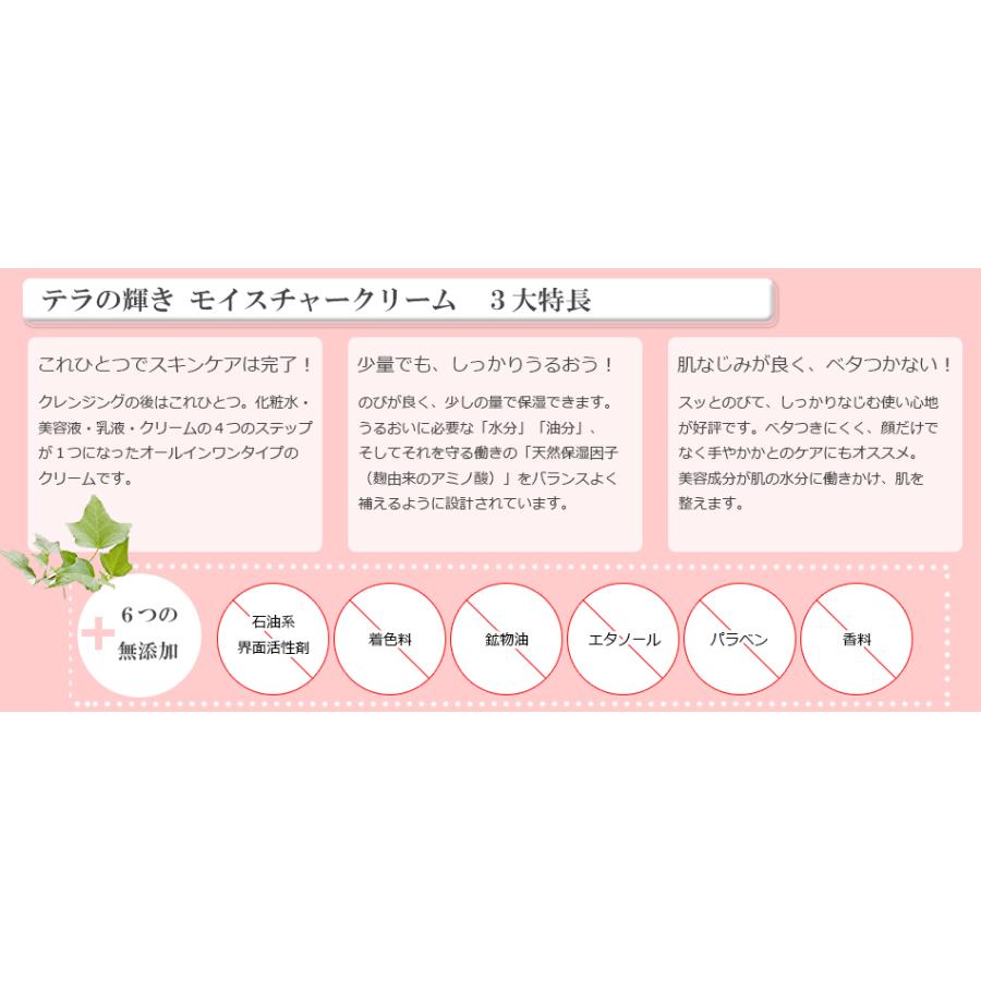 テラの輝き モイスチャークリーム詰替パウチ400g 1袋 油分も水分もお肌