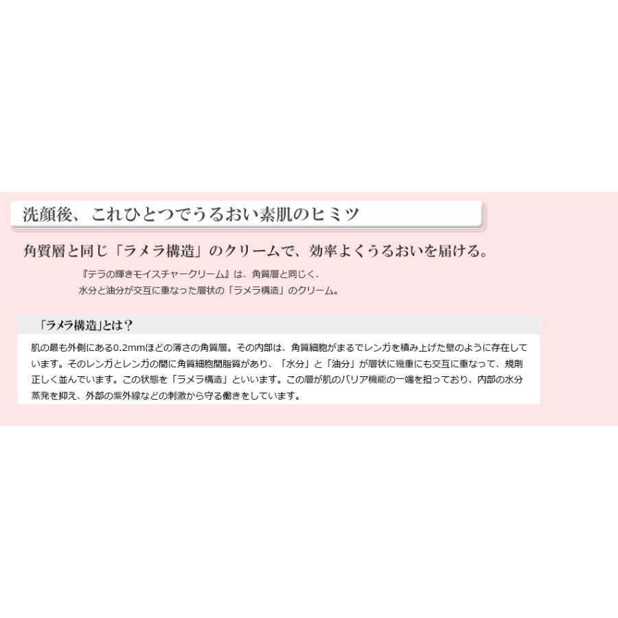 テラの輝き モイスチャークリーム詰替パウチ400g 1袋 油分も水分もお肌