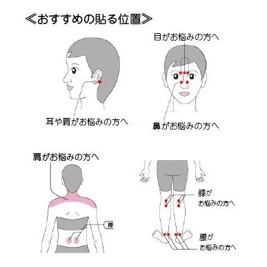 正規販売店 丸山式コイル ブラックアイ6個入×5箱セット＋おまけ