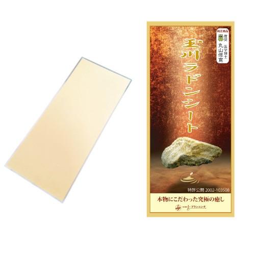 名品フランス画家ファルシーの冬のパリモンマルトル通り6号油彩画