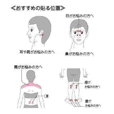 正規販売店 丸山式コイル ブラックアイ50個入 電磁波対策 丸山式 遠
