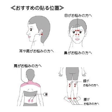 丸山式コイル ブラックアイ100個入 電磁波対策 丸山式 遠赤外線