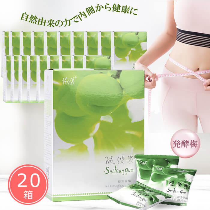 随便果 10g×15個 20箱セット ずいびんか 発酵梅 天然発酵食品 100 