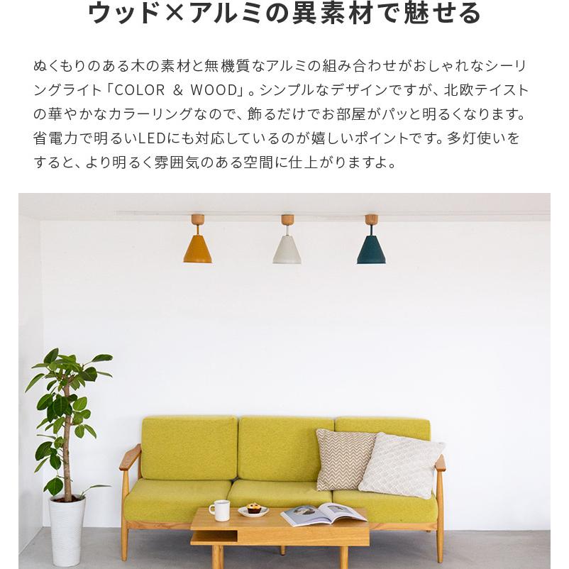 BRID（ブリッド） シーリングライト 照明器具 おしゃれ 照明 1灯