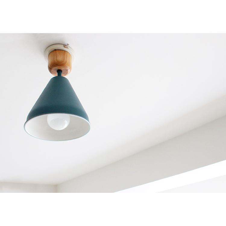 BRID（ブリッド） シーリングライト 照明器具 おしゃれ 照明 1灯