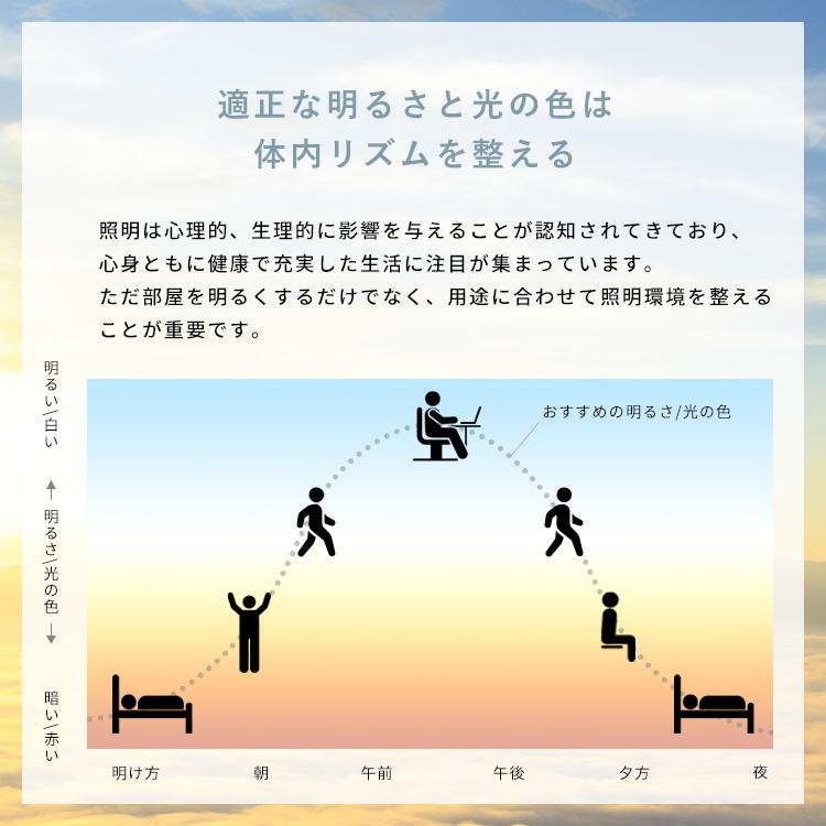 LEDシーリングライト おしゃれ 照明 6畳 8 畳 12畳 調光調色 LEDシーリングライト おしゃれ 照明 6畳 8 畳 12畳 調光調色