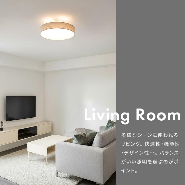 1台で満足する多機能なラメロ シアリック】 リモコン付き LED