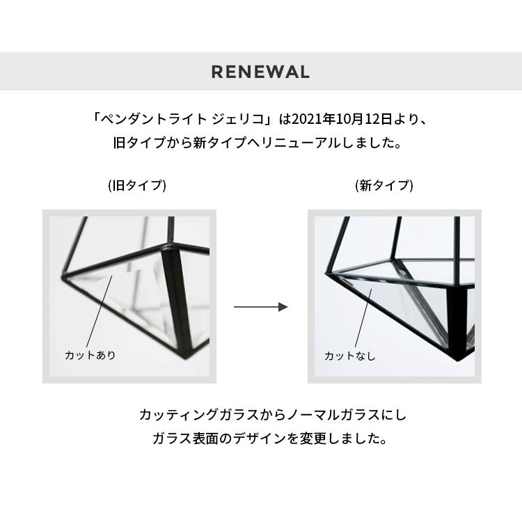 ペンダントライト おしゃれ 1灯 照明 LED 照明器具 間接照明 天井照明