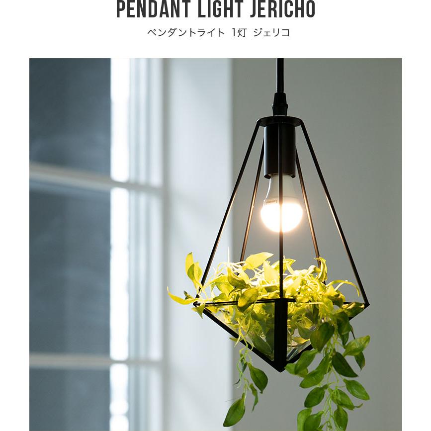 ペンダントライト おしゃれ 1灯 照明 LED 照明器具 間接照明 天井照明