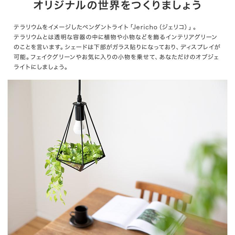 ペンダントライト おしゃれ 1灯 照明 LED 照明器具 間接照明 天井照明 テラリウム トイレ 内玄関 リビング ダイニング ジェリコ フェイクグリーン セット | ブランド登録なし | 03