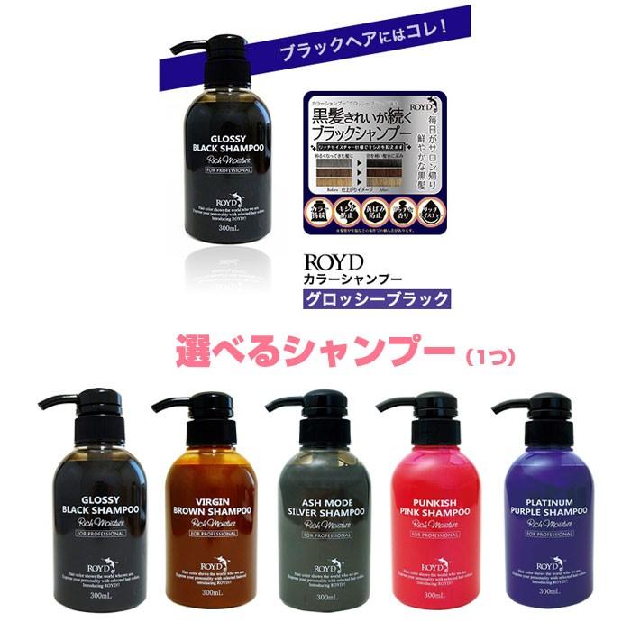 ROYD（ロイド） お買い得セット カラーシャンプー(300mL) ＋ ヘア