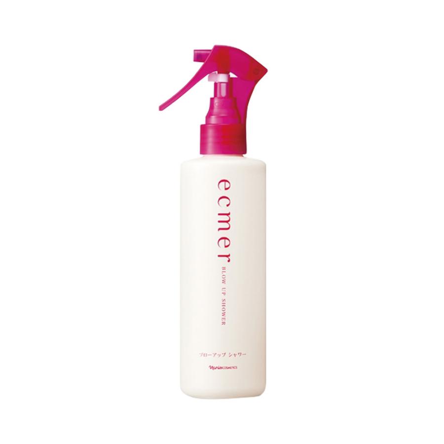 ナリスecmer ブローアップシャワーミスト 245ml ナリス エクメール ブローアップ シャワー 245mL ヘアトリートメント