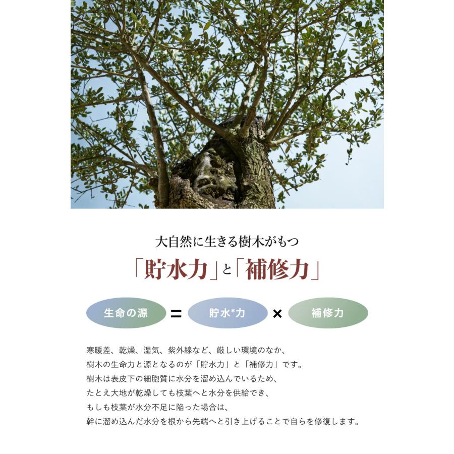 byTREES バイツリーズ さらグロッシーヘアケア3点セット シャンプー