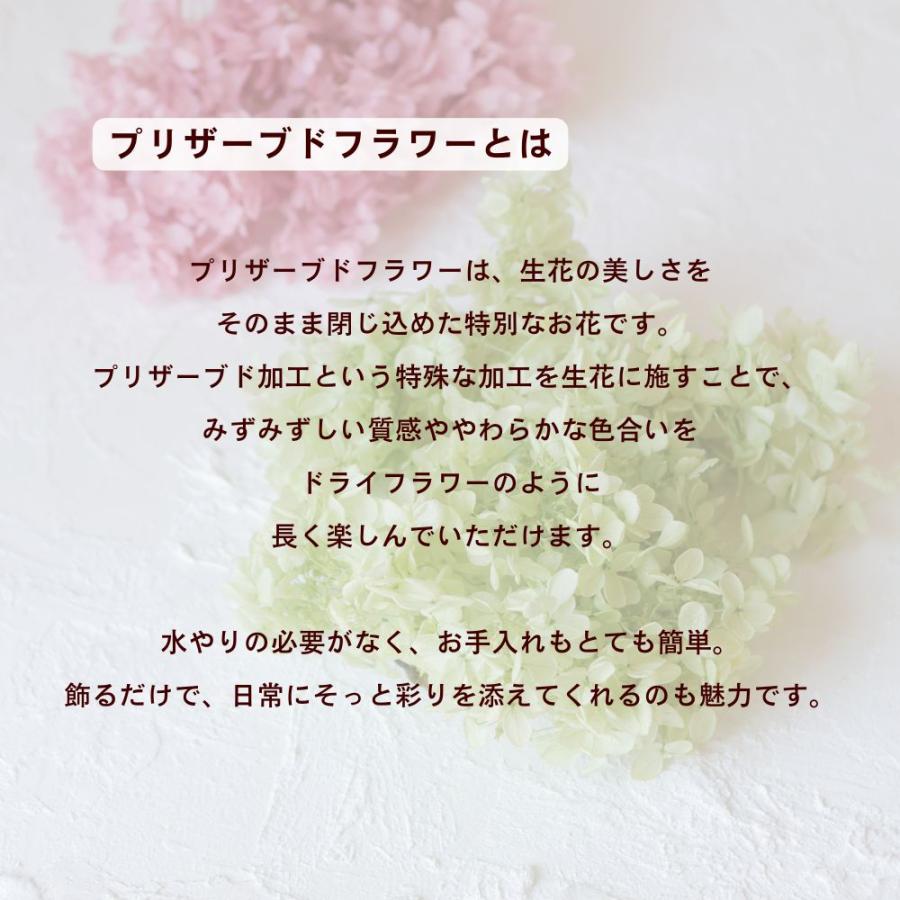 Beautiful Boy（ビューティフルボーイ） あじさいリース プリザーブド