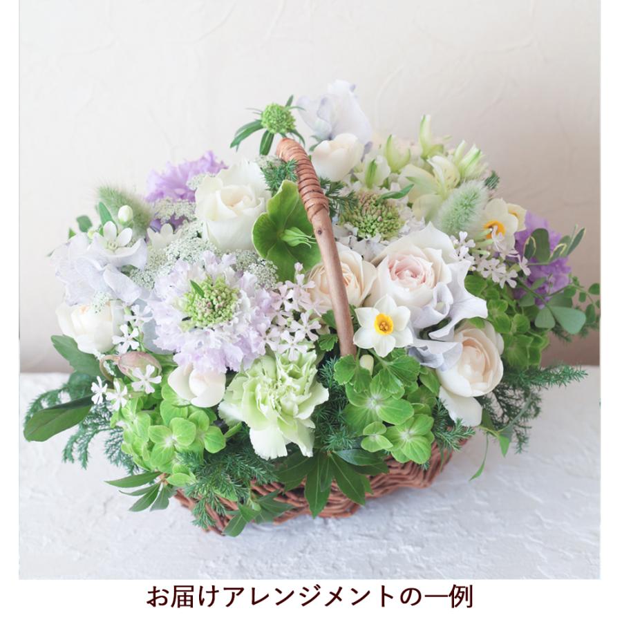 Beautiful Boy（ビューティフルボーイ） 誕生日 花 おしゃれ フラワー