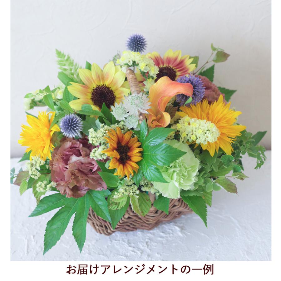 Beautiful Boy（ビューティフルボーイ） 誕生日 花 おしゃれ フラワー