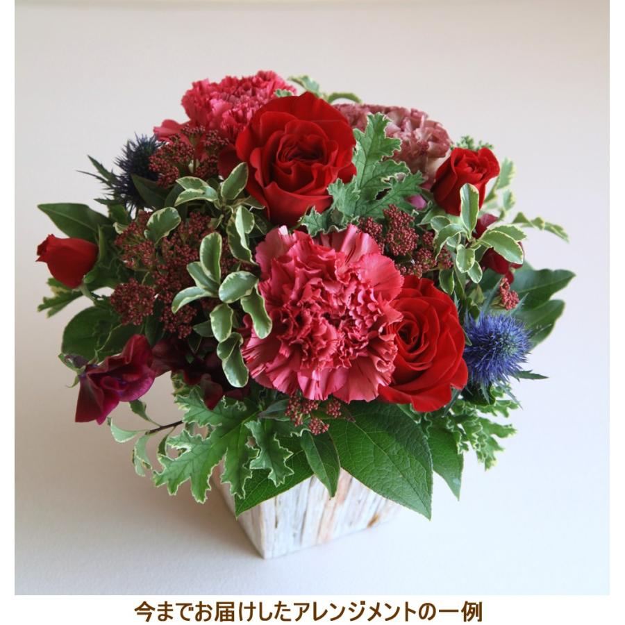 Beautiful Boy 誕生日 花 還暦 お祝い 母の日 女性 男性 Beautiful Boy 誕生日 花 還暦 お祝い 母の日 女性 男性
