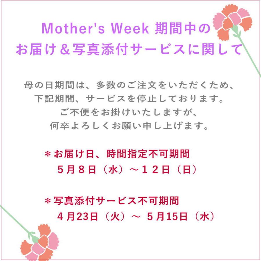 母の日 2024 プレゼント 花 50代 60代 70代 80代 母 義母 お供え お悔やみ ペット 一周忌 三周忌 命日 男性 おしゃれ ギフト フラワーアレンジメント 生花 b-w｜beautiful-boy｜08