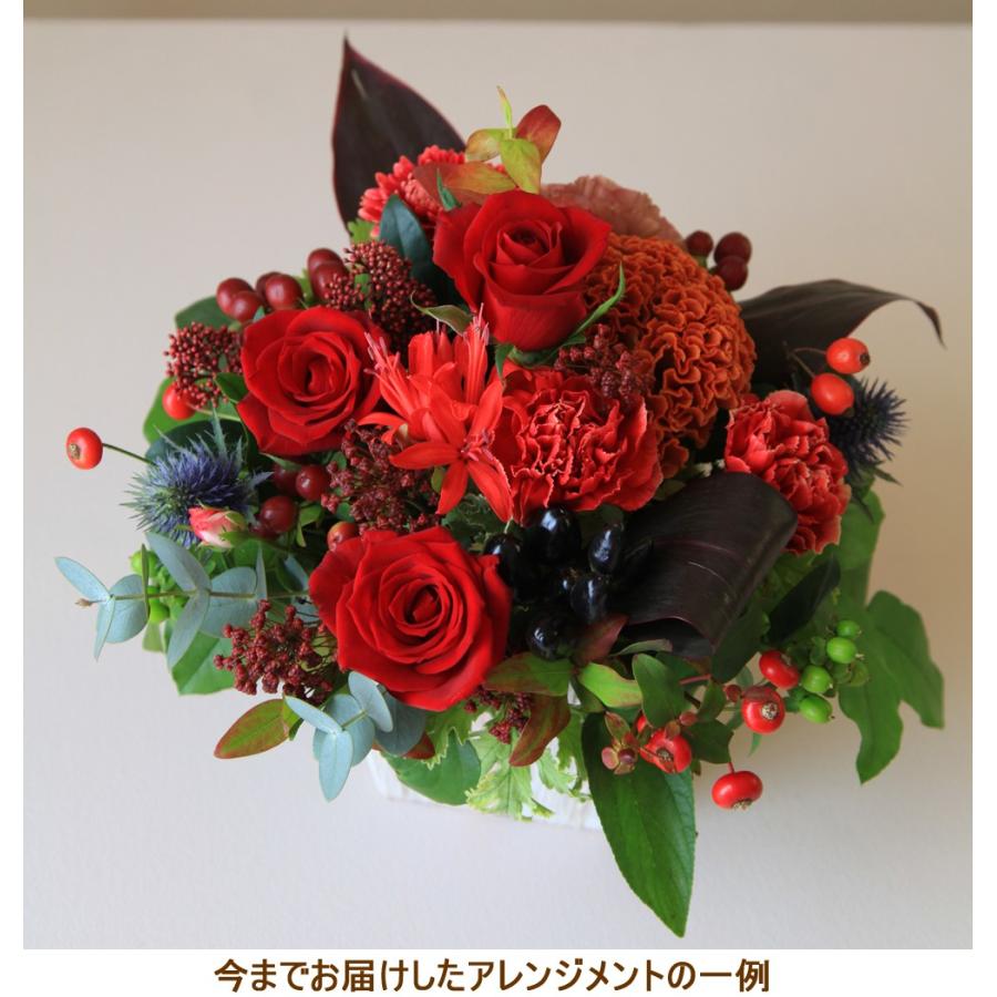 人気再入荷 人気ランキング 1位 父の日 お中元 誕生日 結婚記念日 ギフト 花１４ おまかせ 赤バラの花束 ブーケ カーベラ バラ ユ 本日超得 Www Centrodeladultomayor Com Uy