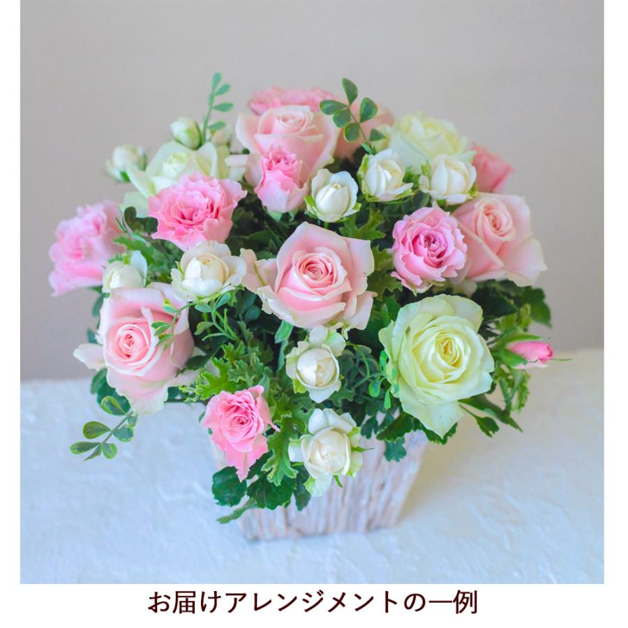 Beautiful Boy（ビューティフルボーイ） バラ 薔薇 ローズ