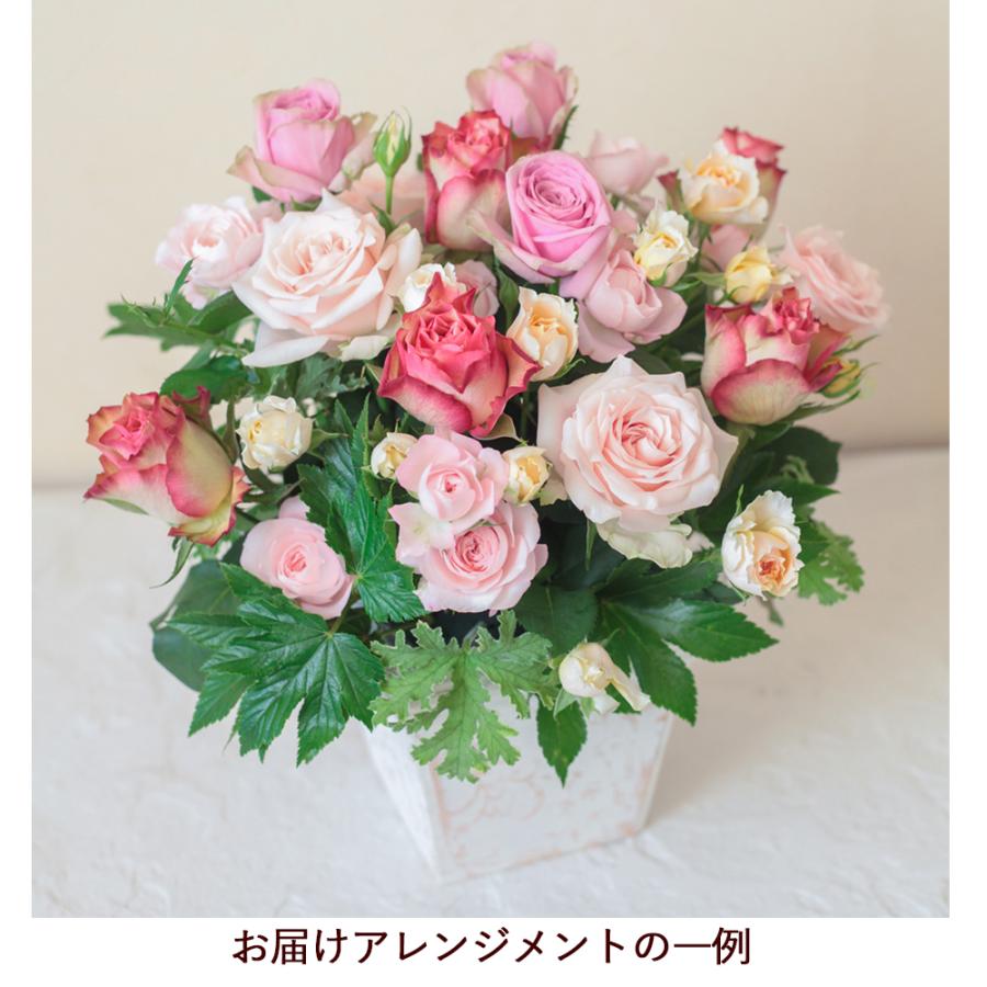 Beautiful Boy（ビューティフルボーイ） バラ 薔薇 ローズ