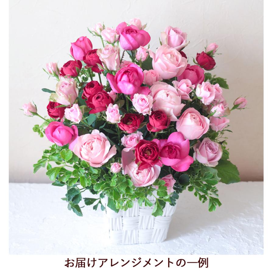Beautiful Boy（ビューティフルボーイ） バラ ローズ アレンジメント