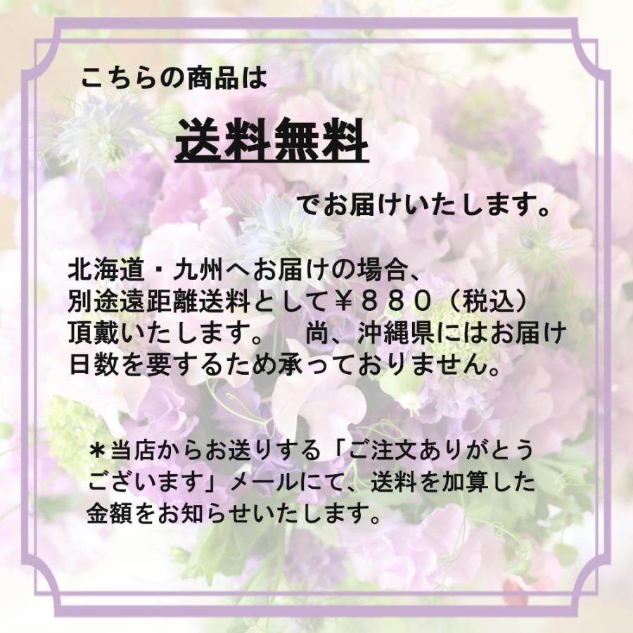 母の日 SPちょっと早めにお届け便！ 限定 割引&特典付 早割 母の日 花 2024 プレゼント 母 義母 おしゃれ おまかせ フラワーアレンジメント b｜beautiful-boy｜13