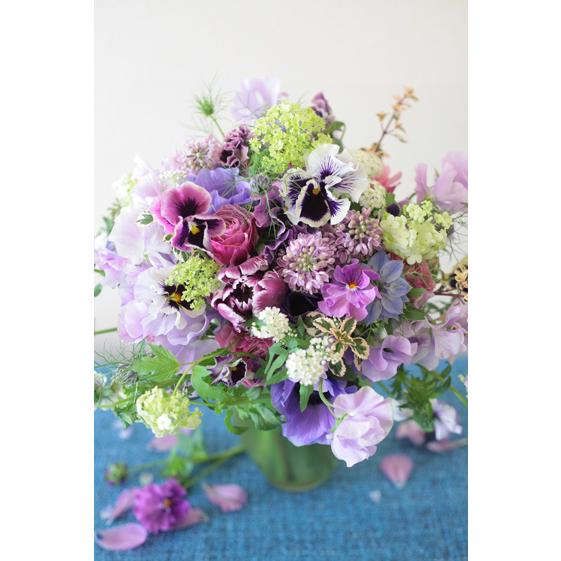 ポストカード おしゃれ 花 写真 8枚 8種 おまけ1枚 セット 季節 モダン 絵葉書 Postcard 植物 自然 デザイン ポイント増量 Set1 Postcardset1901 ビューティフルボーイ 通販 Yahoo ショッピング