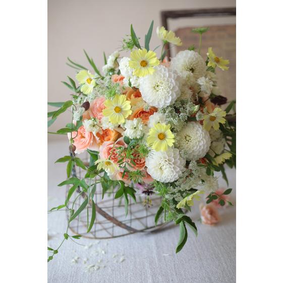 ポストカード おしゃれ 花 写真 8枚 8種 おまけ1枚 セット 季節 モダン 絵葉書 Postcard 植物 自然 デザイン ポイント増量 Set2 Postcardset1902 ビューティフルボーイ 通販 Yahoo ショッピング