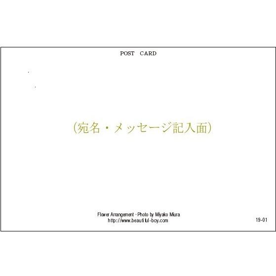 Beautiful Boy ポストカード 花の写真 8枚(8種)＋おまけ1枚
