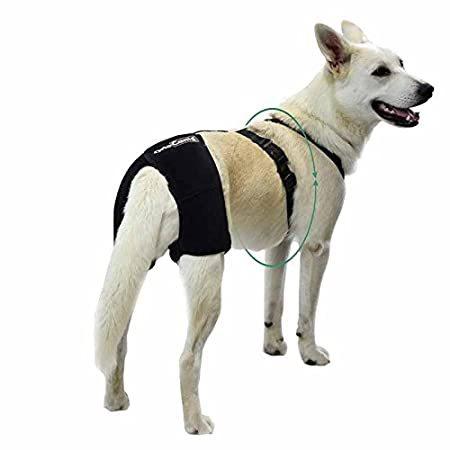 65%OFF【送料無料】 激安正規品 特別価格Ortocanis Hip and Back Brace for Dogs with Dysplasia or osteoarthritis好評販売中 setinasrealestate.com setinasrealestate.com