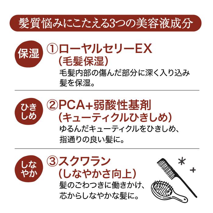 フィーノ fino プレミアムタッチ シャンプー コンディショナー ボトル