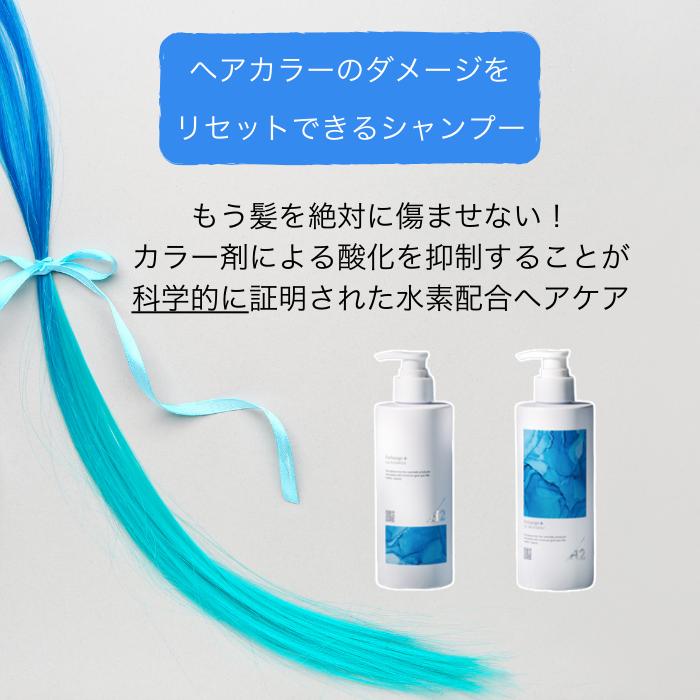 STRI 2%クーポン配布中 ストリ エクスチェンジプラス H2 シャンプー