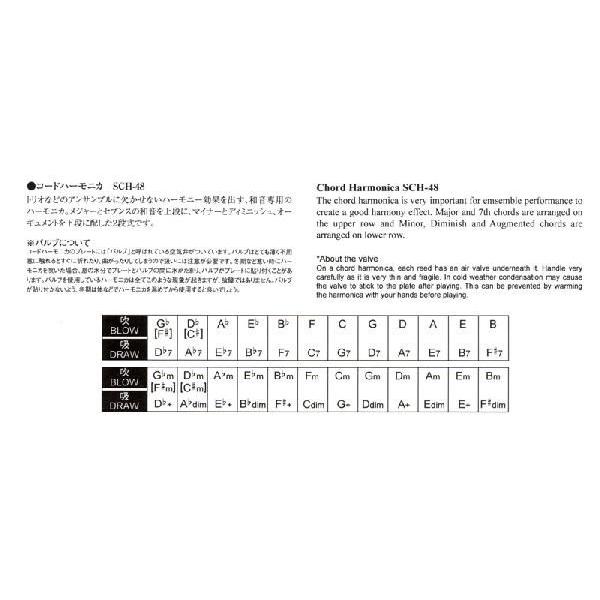 its】「コード感を出しながら同時にリズムを刻みます！」 コード