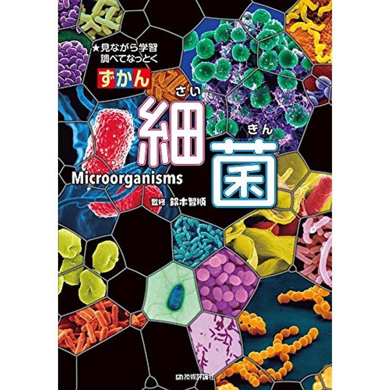 細菌 ずかん 学習図鑑全般 Idealauto Ee