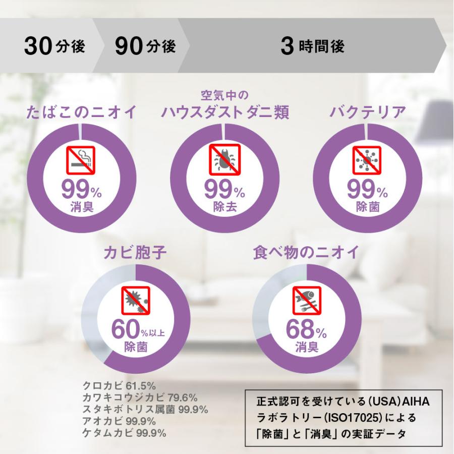 P15倍！特別セット アシュレイ＆バーウッド フレグランスランプ用