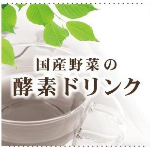 公式】3日間ファスティングセット国産野菜の酵素ドリンク 公式】3日間ファスティングセット国産野菜の酵素ドリンク
