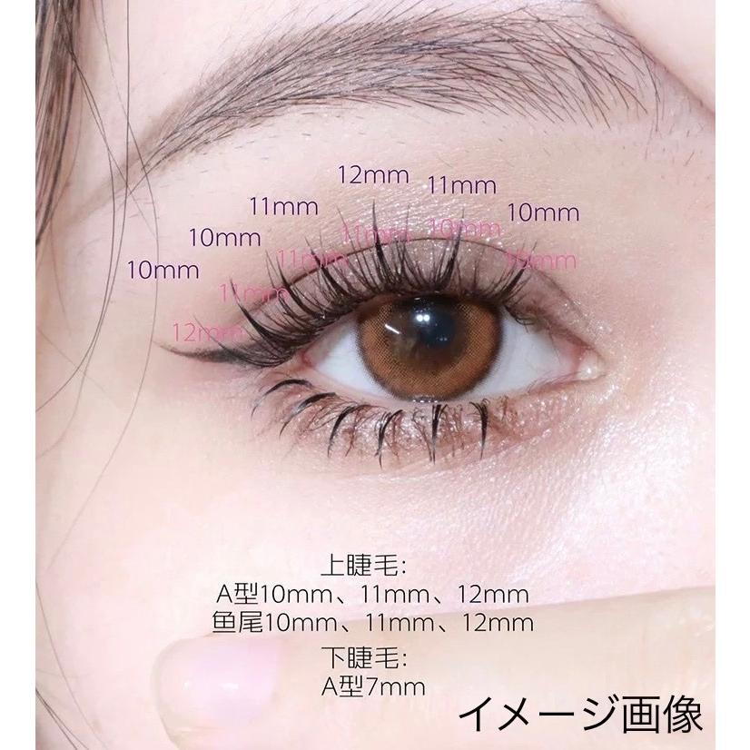 2タイプ セルフマツエク A型 V型 下まつ毛 6mm 10mm 11mm (200束