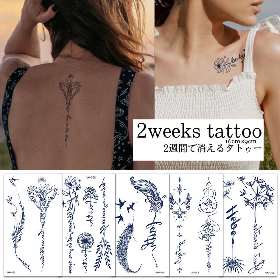 バイオリン Primera プリメーラ PV-100 4/4 ほぼ未使用④