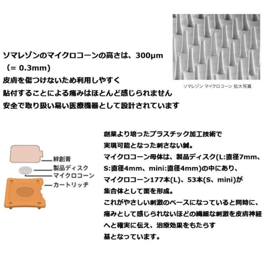 ソマニクス ソマレゾン 100個入り L 2個 : BEAUTY HOUSE ヤフー