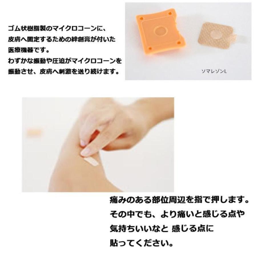 ソマニクス ソマレゾン 100個入り L 2個 : BEAUTY HOUSE ヤフー