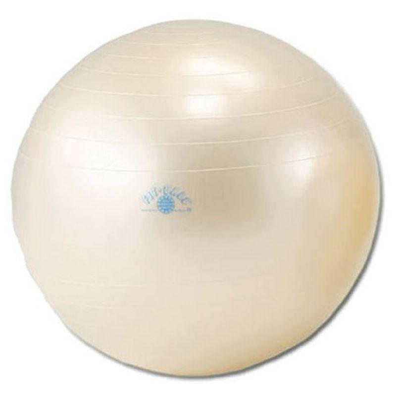 限定商品購入 送料無料 ダンノ Danno バランスボール ギムニク フィットボール 直径65ｃｍ D5921 店舗情報 Livinginmalta Com