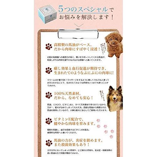わんどくりーむ 高級馬油配合 肉球ケアクリーム 30ml 天然素材100 肉球保護 ワンちゃん用 ハンドクリーム 05 Beauty Capsule 通販 Yahoo ショッピング